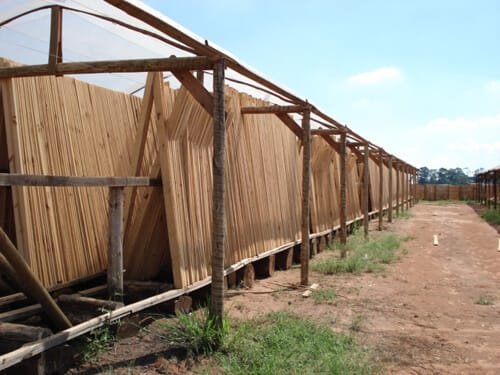 Processo de secagem da madeira ao ar livre Processo de secagem da madeira ao ar livre