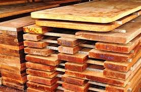 Manejo sustentável da madeira